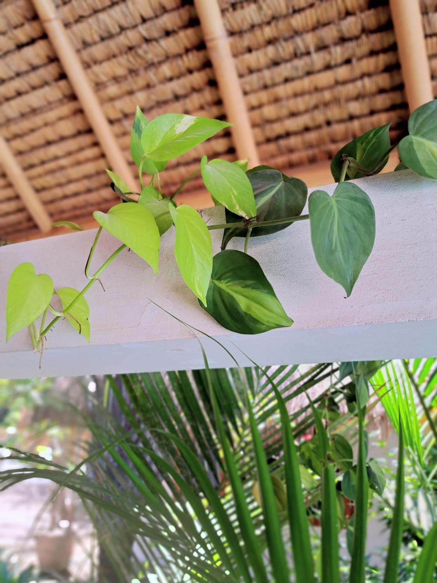 Eden Eco Resort Gili Trawangan Exterior foto
